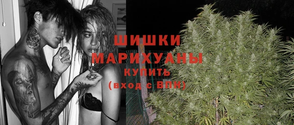 Альфа ПВП Новодвинск