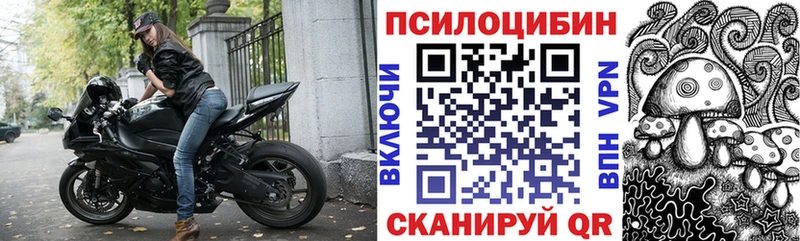 Галлюциногенные грибы Cubensis  цена   Талица 
