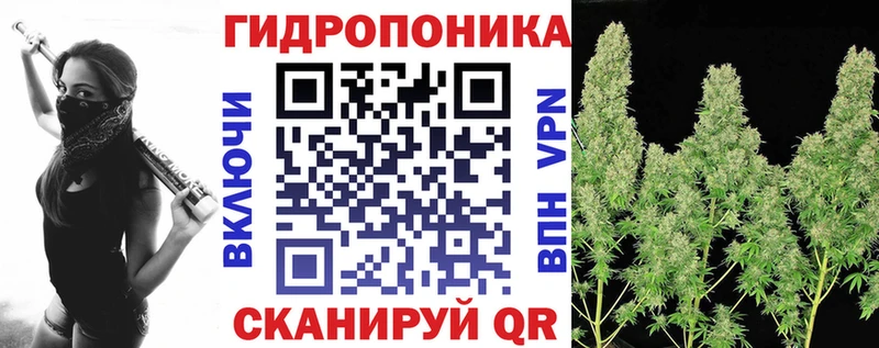 Канабис AK-47  хочу   Талица 